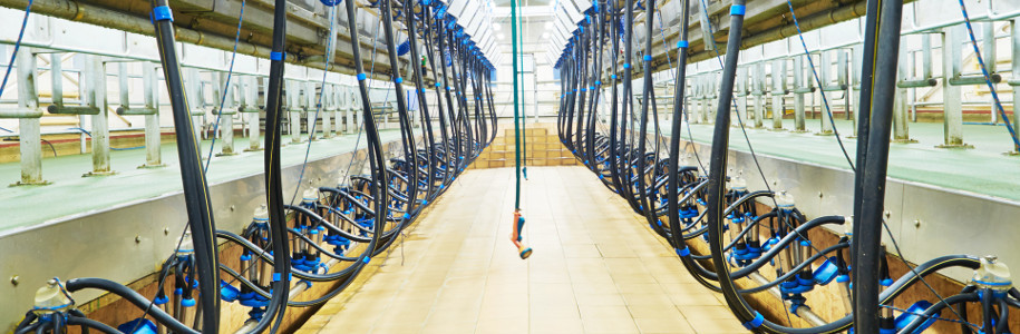 Miesięczna aktualizacja danych