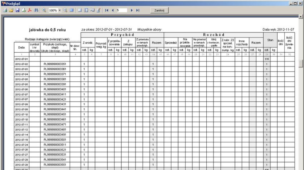 Plik graficzny z edytora