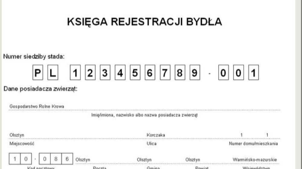 Plik graficzny z edytora