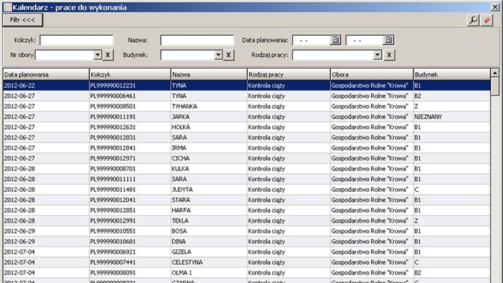 Plik graficzny z edytora